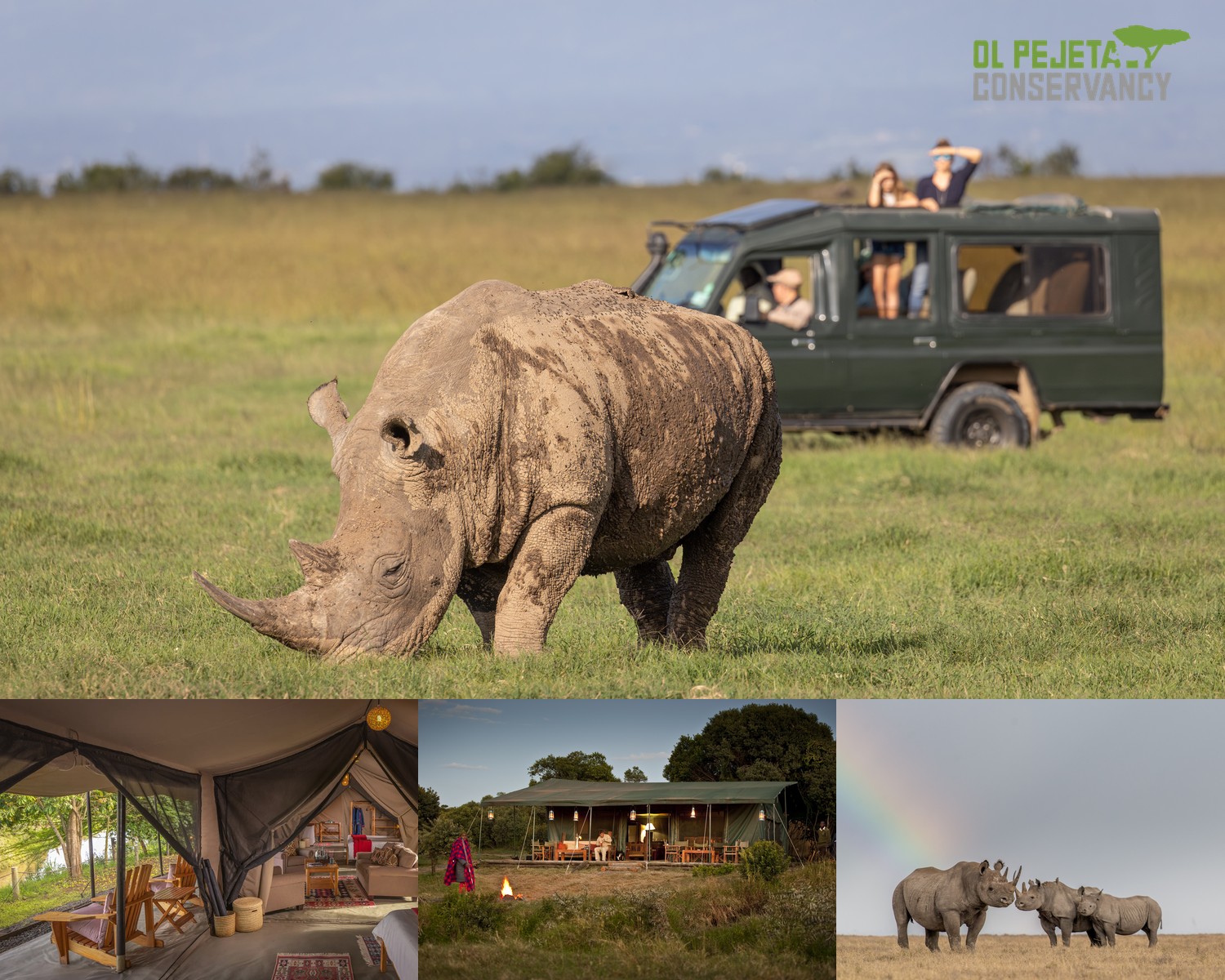 Guests on a game drive watch a white rhino graze at Ol Pejeta Conservancy in Kenya